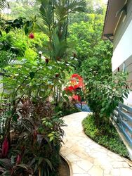 Le Wood (D21), Condominium #495823151